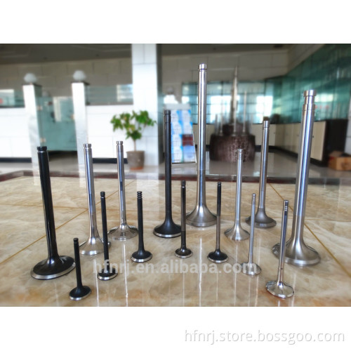 Engine valve for Benz 200; 200T Eng. M102.920/939; M102.961